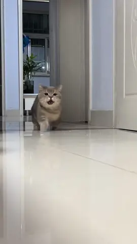 I want to play too.