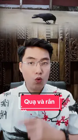 Quạ và rắn#phongthuy #trietlycuocsong #thaidanchuyendoi #xuhuong 
