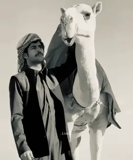 انا بدوي .. ولد بدوي❣️ #محمد_الودعاني #f #like #viralvideo #fypシ゚viral #اكسبلورexplore @محمد الودعاني 