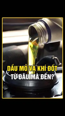 NHỮNG KHÍ ĐỐT TỰ NHIÊN VÀ DẦU MỎ ĐƯỢC HÌNH THÀNH NHƯ THẾ NÀO? #kienthuc #kienthucthuvi #khoahoc #khampha #socolive #blvsocolive 