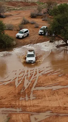 من سيل شعيب السهل يوم الجمعة ١/١١/٢٠٢٤  #سيل #سيول #مطر #امطار #جيب #اللي_يوسع_خاطري_لا_تسومه 