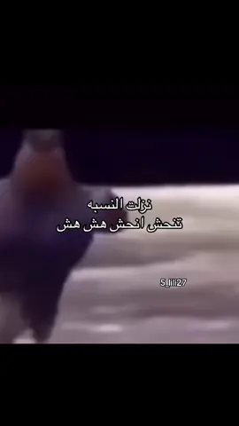 #مالي_خلق_احط_هاشتاقات 