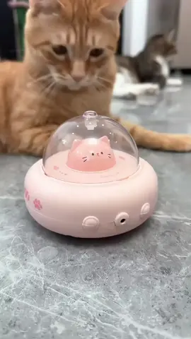 #uk #tiktok #cutecat #cattoys #funny #pettoys 