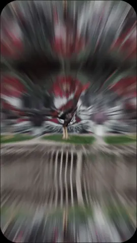 KHOYTRAD SPESIAL PUKUL SANGKAL🔥💯 BB 3,1KG TULANGAN SUPER 🔥 VIDEO READY VIA WA 089677848473 LOKASI BANTUL YOGYAKARTA SIAP BANTU KIRIM SELURUH INDONESIA 💯🙏🙏#CapCut  #ayambangkok  #ayamkhoytrad  #ayampakoy  #ayamberkualitas  #fypシ゚viral 