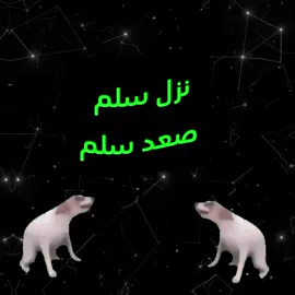 #اكسبلورexplore #صعدوو_ءڪڪسبلور_للايڪ_متابعه #تصميم_فيديوهات🎶🎤🎬 #fyp #foryou #foryoupage #viral #tiktokviral 