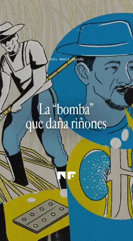 💥 En las plantaciones de caña y banano de Guatemala, la mezcla de analgésicos y energizantes es llamada “bomba” por los jornaleros que buscan soportar largas jornadas. ¿El resultado? Enfermedad Renal Crónica y despidos. 😞 . . . #noticiastiktok #noticias #news #periodismo #investigación #saludlaboral