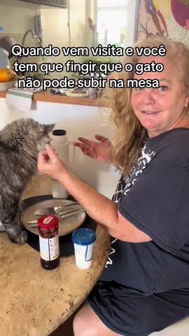 se ela me tratasse igual trata o gato… #gato #gatostiktok #fyp #humor 