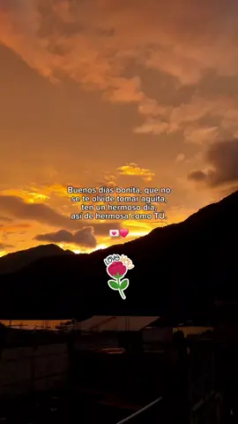 Buenos días mi niña hermosa 💖  M💌  Mencionala 💫⚘️ #buenosdias #buenosdiasamor #loveyou #teamo #teextraño #flypシ #parati 