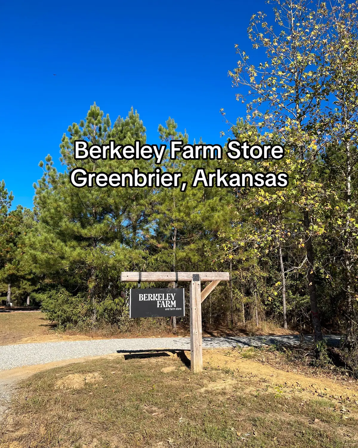 Here’s a suggestion for your weekend! Head to Berkeley Farm in Greenbrier for local meat, treats, and the most delicious milk you’ve ever had. Check out their page for hours and info on pizza nights, butcher classes, and events.  📍95 Ridge Drive, Greenbrier, AR #berkeleyfarm #arkansas #arambassadors #farmstore #greenbrier #greenbrierarkansas #explorearkansas #faulknercounty @arkansastourism 