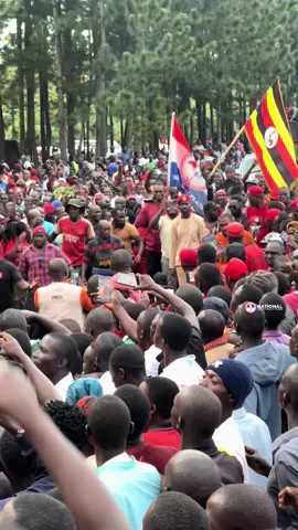 Arriving in KAMULI #NUPNationWideTour