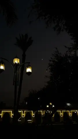 🤍✨ #quran #vira #fyp #تلاوه_هادئه #قران #تلاوه_هادئه #هدوء_الليل #استغفروااذكروا_الله #عمر_ضياء_الدين #سورة_يوسف #trendingvideo  @ELHAM YOUSEF 