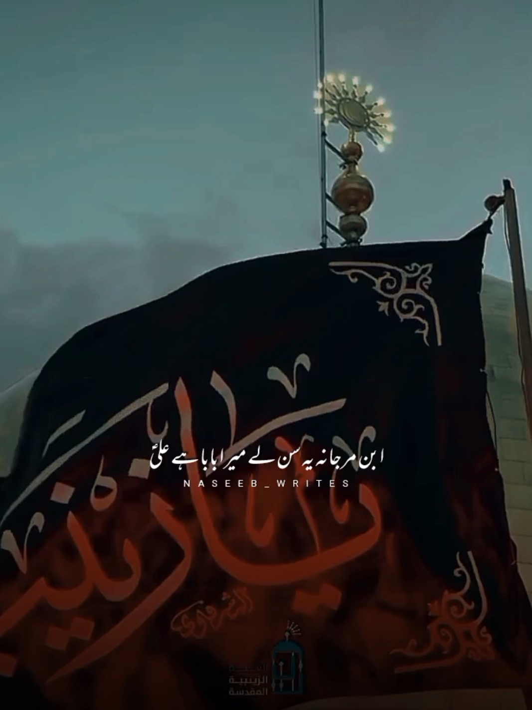 Haider a.s Ki Tarah Belegi Or Sher Lage Gi | Janam Ali Ali a.s | 5 Jamad Ul Sani Wiladat Bibi Zainab s.a #plzunfrezemyaccount 