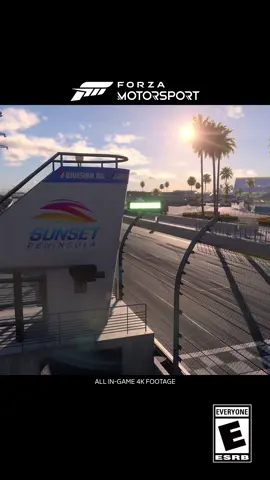 Ready for your collection: the 2018 Saleen S302 Black Label is now available. Unlock this new-to-Motorsport V8 powerhouse by completing all four series in the Mustang Tour or 10 Mustang Challenge Series races in Featured Multiplayer. Have you got it yet?