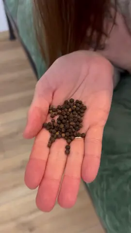 ПЕРЕЦ ПОД КРОВАТЬЮ ТОЧНО ПОМОЖЕТ ВАМ!✅ #лайфхаки #советы 