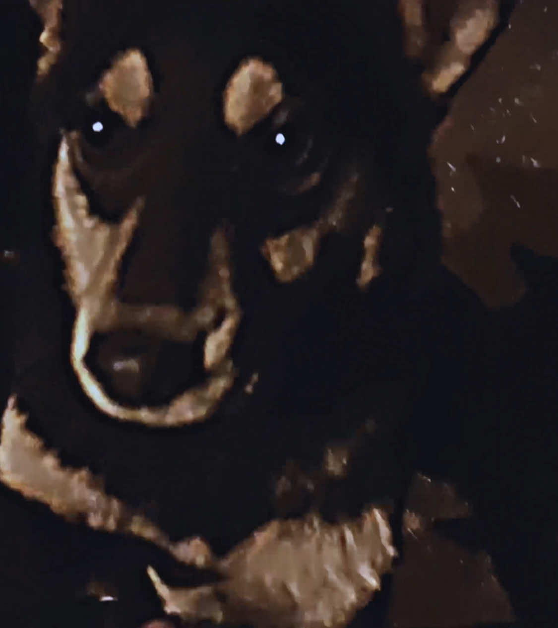 #training #winter #workout #calisthenics #fyp 