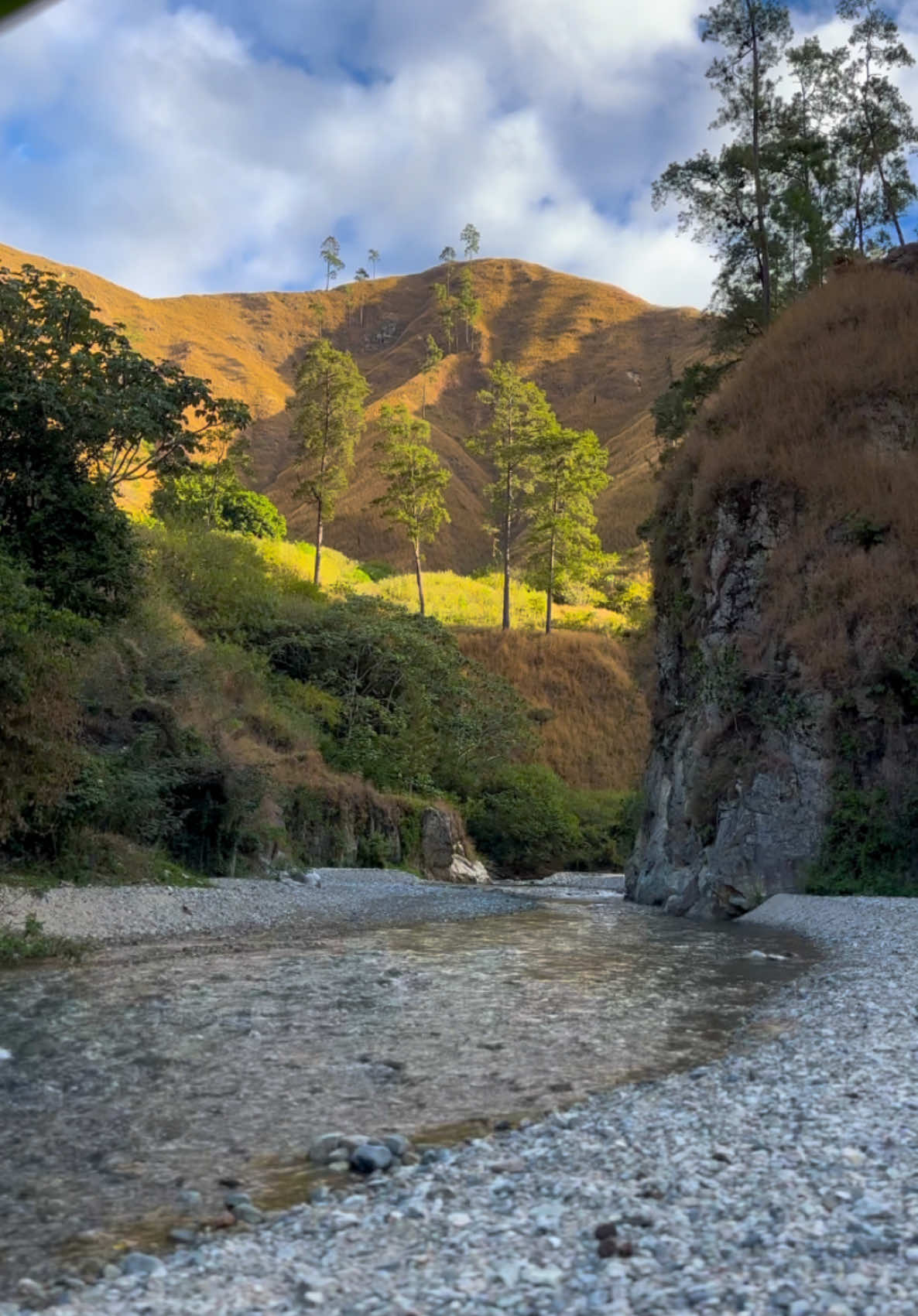 Ruta: Cañon de Rio Blanco:  Llegó Noviembre 