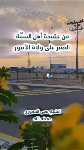 من عقيدة أهل السنة الصبر على ولاة الأمر - الشيخ يحيى الحجوري حفظه الله