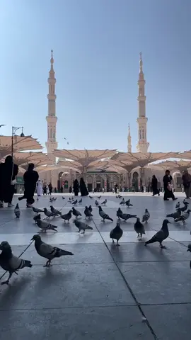 #المدينة_المنورة #بدون_موسيقي #الحرم #الجمعة 