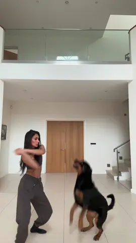 SHE DID NOT MISS A BEAT #rottweiler 