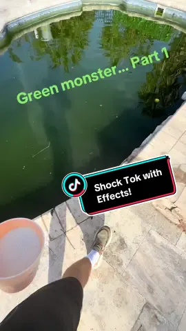Played a lot more with the effects… part 1 of 2 of this green monster! #greenpool #shocktok #effects #monster #fyp #poolshock #asmr 