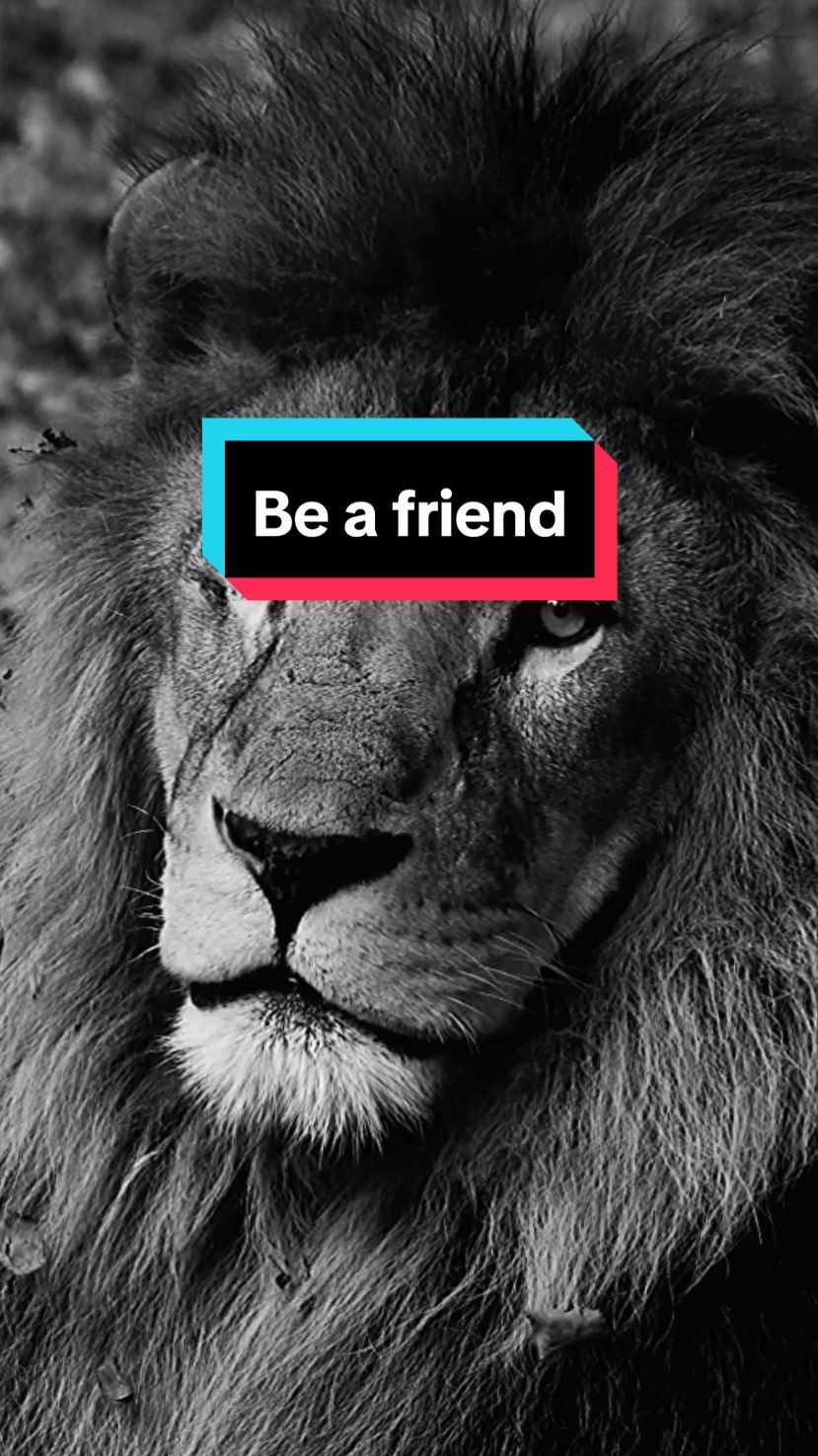 والله لم اختر يوما ان اكون عدوا لأحد By God, I never chose to be anyone's enemy #اقتباسات #حالات_واتس#تيك_توك #اكسبلور #ترند #motivation #motivationalquotes #motivationmonday #motivationalvideo #explore #pourtoii #fyp#video #fy #خواطر #tik_tok #السعودية #العراق# #سوريا #الامارات #الاردن#ليبيا#تونس#الجزائر #لبنان #الكويت #قطر#البحرين #فرنسا #فوريو #المغرب #كلام_من_ذهب #عمان #عبارات 