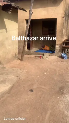 Balthazar arrive 😃