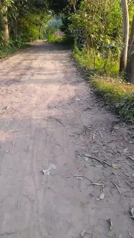 অনেক দিন পর এমন মাটির রাস্তায়। গ্রামের রাস্তা গুলা আসলেই সুন্দর। তোমাদের কাছে কেমন লাগে,#সাপোর্ট #করলে #সাপোর্ট #পাবে #CapCut #foryou #viral #viralvideo 