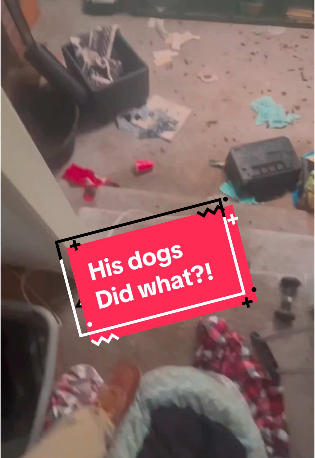 Replying to @Sav 🍉 Not sure what happened to the dogs lowkey. I think he kept them?? I've done jobs where the humane society were all over the property freeing birds, cats and reptiles from the property. Unfortunately the dog urine did a number on the subfloor but we treated it with some of the best enzyme cleaners and deodorizers in the world.  If you or a loved one needs free therapy or clean up help please visit my website!