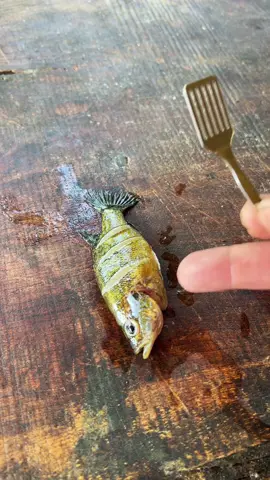 Extreme survival coleman #fyp #catchcleanandcook #beardedfisherman #fishing #fish 