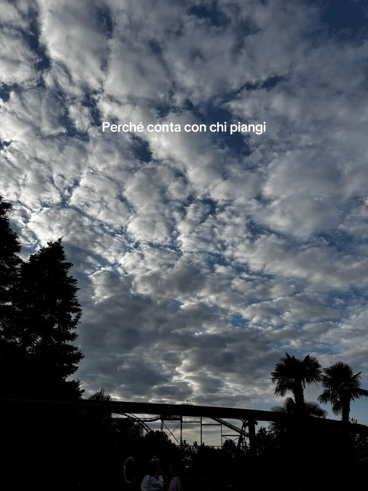 Io e spotify 🤝🏼🫂