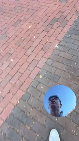 Monkey business in the diag 🤪🤪🤪 #viral #divas #pledge #pledgetok #fyp #foryoupage #room309 #romcom #uofmichigan #uofm #funny #michigan#viralvideo 