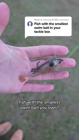 Fishing with a micro swim bait for bass 