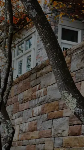 تسقط المودة عند قباحة الرد ..فعلآ🤎#canada_life🇨🇦 #كمال_نزال #autumn 