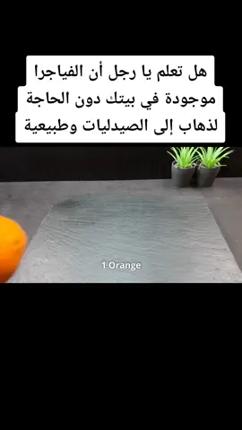 #فياجرا_طبيعية_سريعة_المفعول #فياجرا_طبيعي_أعشاب_قوة_منشط #الفياجرا_الطبيعية #محتوى_جديد #محتوى_هادف #tips_tiktok_2024 