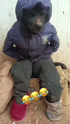 ههه ذابحه البرد ب المخيم 😂😂😂 #فلسفتي #خواطر #خله #رايق🎼❤️ #اكسبلورexplore_o🤭❤_تصويري #ترندات_تيك_توك #اكسبلورexplore #اللهم_صلي_على_نبينا_محمد #اللهم_لك_الحمد_ولك_الشكر #السناب_شات #القهوة_السعودية #الخطوط_السعودية #البحر #الرياض #القهوة_الي_تحبها #مساء_الحب_والسعاده_متابعيني💕 