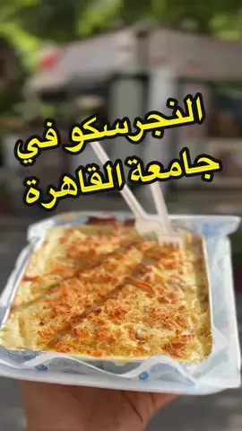 النجرسكو في جامعة القاهرة - الجزء التاني 🌟 - - - - - #أعمل_إيه_في_الجامعة #fyp #foryoupage #fypシ゚viral #جامعة_القاهرة #cairouniversity #طالب #goviral #نجرسكو #explore #فوريو 