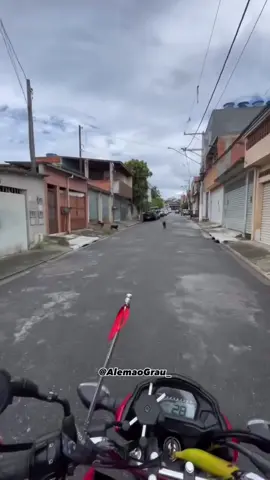 🐕🤕 #grau #graudemoto #guigra #_guigrau #graudebike #brazil #_guigrau1 #brazil🇧🇷 #bike #bikelife #fy #fyp #alemaograu #alemaograu_ 