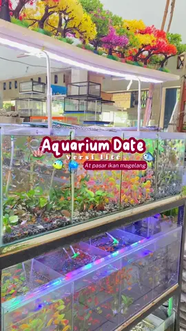 Happy bgt, Berburu mencari ikan gemes warna warni 🤩🪷🐠🪼🐟🫧 5000 dapet 4 murah bgt asli😭🙏🏻 #magelang #mgl #pasarikan #pasarikanmagelang #aquarium #aquariumdate #fypage #magelang24jam #magelangplacetogo 