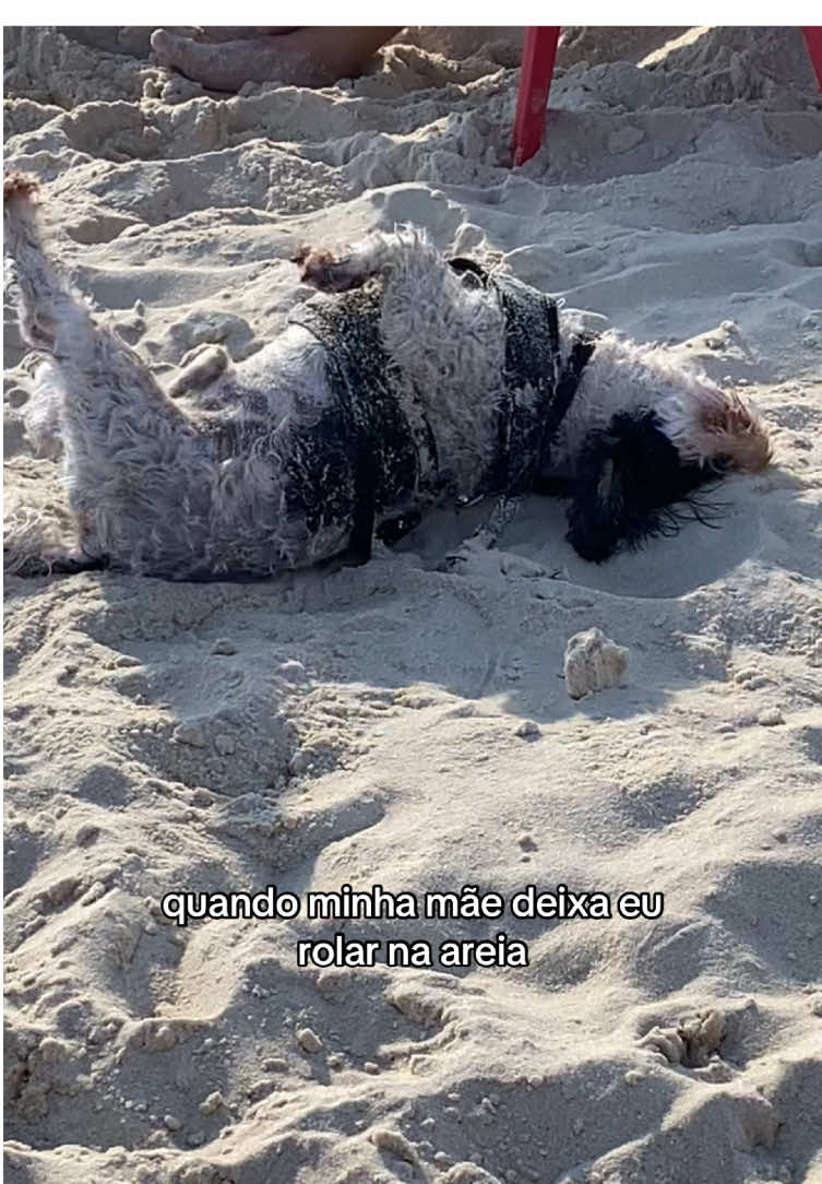 É chegar e direto pro banho