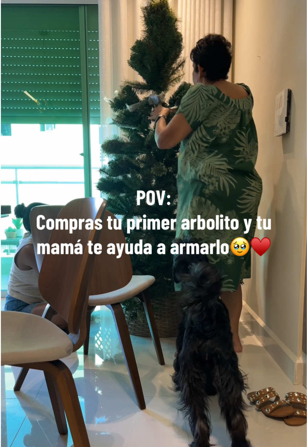 Laia supervisando 🫡🐾  #christmastreedecorating  #christmas 