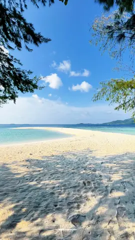 Nature is therapy 🍃🌊 📍Pulau menjangan kecil, Karimunjawa #karimunjawaisland #infowisatakarimunjawa #wisatajateng #wonderfulindonesia #fypシ #fypシ゚viral 