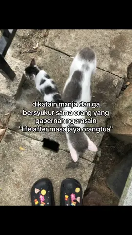 gimana ya jelasinnya☹️ 