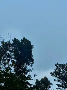 crittt🙅🏻‍♂️ #masukberanda #fyp #FYP #gank