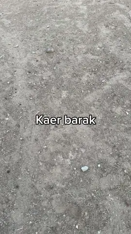 Hei🥶 liafuan motivasau ba imi hotu🥶🤣🤣 2025 agora feto mos naokten barak mk ne🥶💀 btw just for fun laiha intensaun seluk Obrigado🙏