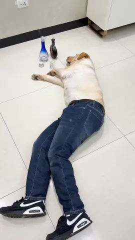 Play?Nah,food!🦮🤤#tiktok #foryou #cute #animal #dog 