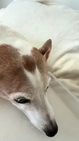 🎓 👉 Уроки блогерства - по ссылке в этом профиле.. 