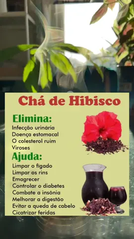 Chá de Hibisco 🌺  #chaemagrecedor #cha #barrigainchada #perderpeso #estomagoalto 