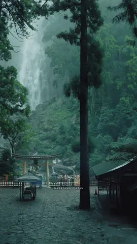📍那智の滝【和歌山】 Nachi falls - Wakayama 水柱の高さ133mと、日本一の高さを誇る和歌山の名所。 Nachi Waterfall is the tallest single-drop waterfall in Japan. Its waters plunge in a stream that is 13 meters wide at the top to a basin 133 meters below.  ______________ #Japan #japantravel #japantrip #torii #japanese #visitjapan #traveljapan #和歌山#那智勝浦 #那智の滝 #飛瀧神社