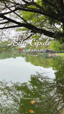 Reupload Situ Cipule Karawang 🍃🚣 Gak perlu jauh2 ke luar kota buat menikmati pemandangan danau. Karawang juga punya situ yang cantik buat nongki2.  Lokasinya ada di Ciampel Karawang. Kalau mau ke lokasi bisa cari di maps 'Danau Sea Games Ciampel'. Dulunya situ/danau ini pernah digunakan sebagai area dayung sea games 2011. Tidak ada tiket masuk untuk weekday. Jika berkunjung saat weekend ada htm 10k untuk mobil dan 5k untuk motor. Area danaunya luas jadi banyak spot yang bisa dipilih. Bisa duduk2, piknik, ataupun mancing di sekitar danau. Banyak warung dan pedagang disana jadi bisa sambil jajan juga. #wisatakarawang #hiddengemkarawang #karawanghits #explorekarawang #fypkarawang #karawangfyp #nongkrongkarawang #placetogokarawang  #situcipule #danaucipule  #mancingkarawang #ciampelkarawang 