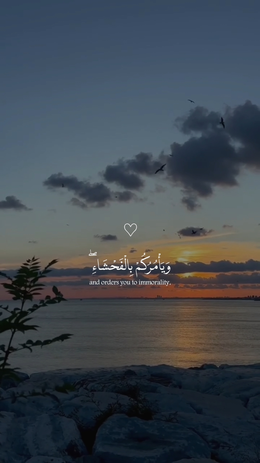 قرآن ❤️‍🩹🥺  #راحه_نفسيه #قران_كريم #تصميم_karimmohmed30 